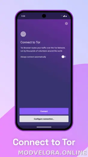 Tor Browser скриншот 1